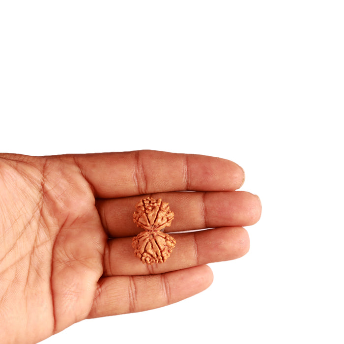 Gaurishanker Nepalese Rudraksha Bead No. - 235