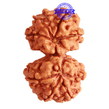 Load image into Gallery viewer, Gaurishanker Nepalese Rudraksha Bead No. - 235
