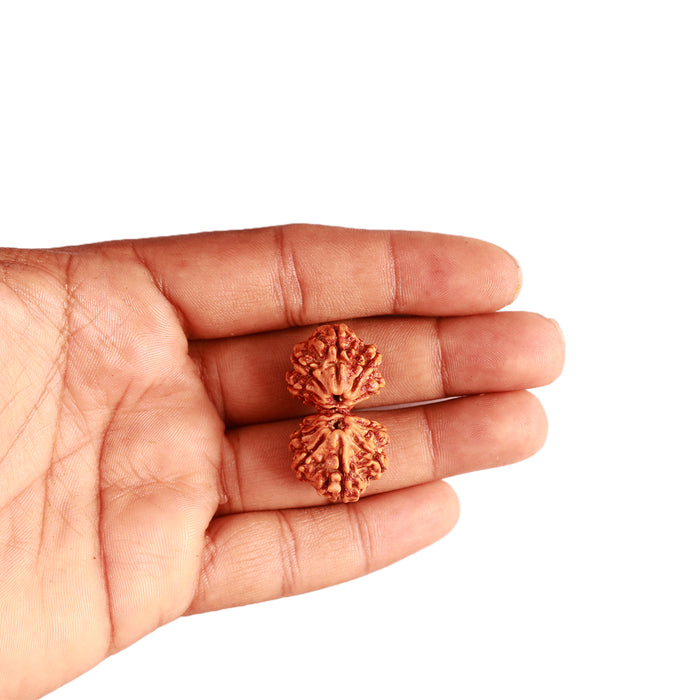 Gaurishanker Nepalese Rudraksha Bead No. - 245