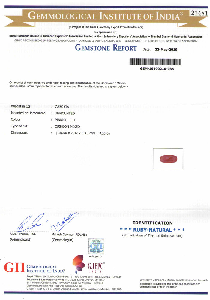 Ruby - 13 - 7.38 carats