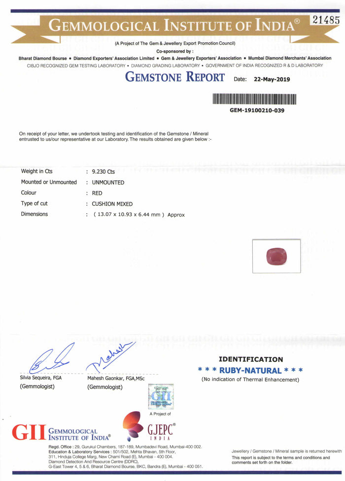 Ruby - 17 - 9.23 carats