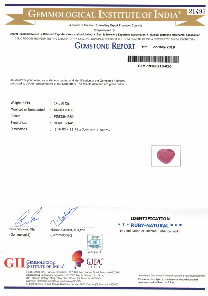 Ruby - 24 - 14.05 carats