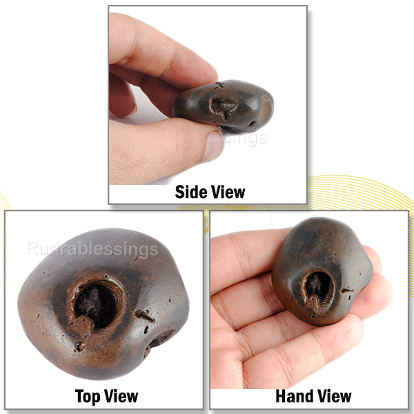 Shaligram - 45