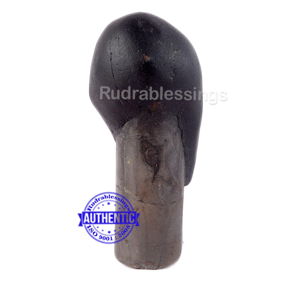 Shaligram - 46