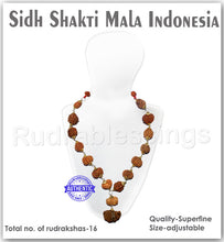 Load image into Gallery viewer, Rudraksha SidhShakti Mala from Indonesia (Giant size beads)
