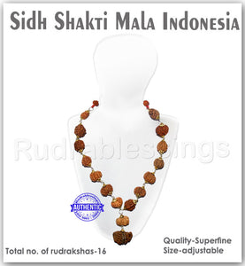 Rudraksha SidhShakti Mala from Indonesia (Giant size beads)