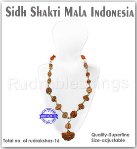 Rudraksha SidhShakti Mala from Indonesia (Big Size beads)