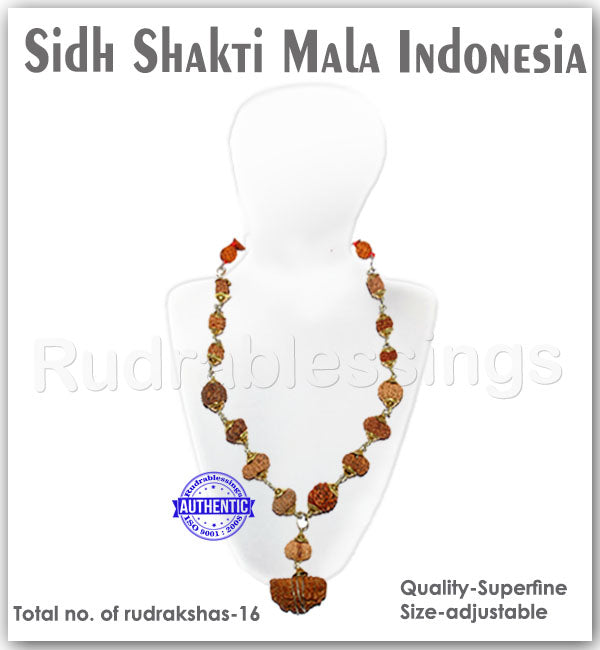 Rudraksha SidhShakti Mala from Indonesia (Big Size beads)