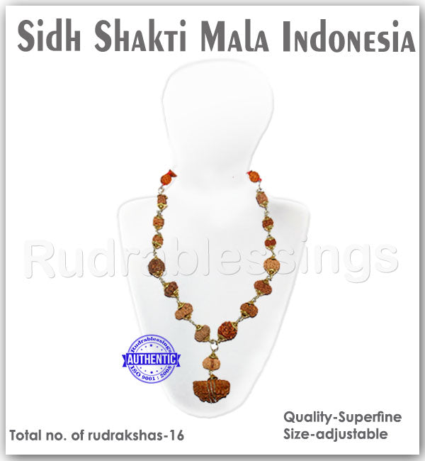Rudraksha SidhShakti Mala from Indonesia (Standard Size beads)