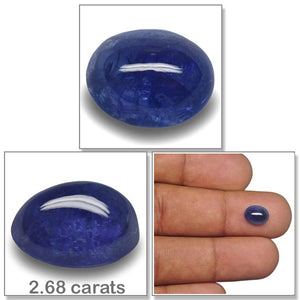 Blue Sapphire / Neelam - 13 - 2.68 carats
