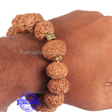 Load image into Gallery viewer, 9 Mukhi Rudraksha Wrist Band - Type 2
