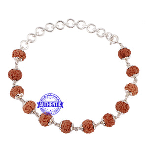 11 Mukhi Indonesian Rudraksha Bracelet (Pure Silver)