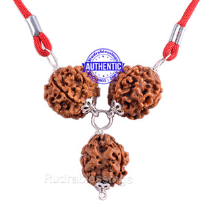 Rudraksha Confidence / Stress Buster Pendant - Big Size (Pure Silver)