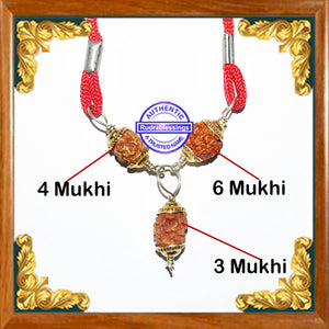 Rudraksha Confidence / Stress Buster Pendant From Indonesia