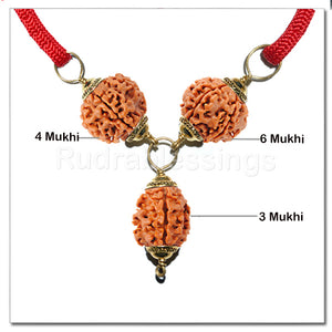 Rudraksha Confidence / Stress Buster Pendant - Std Size