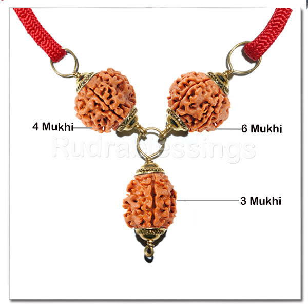 Rudraksha Confidence / Stress Buster Pendant - Std Size
