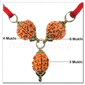 Rudraksha Confidence / Stress Buster Pendant - Big Size