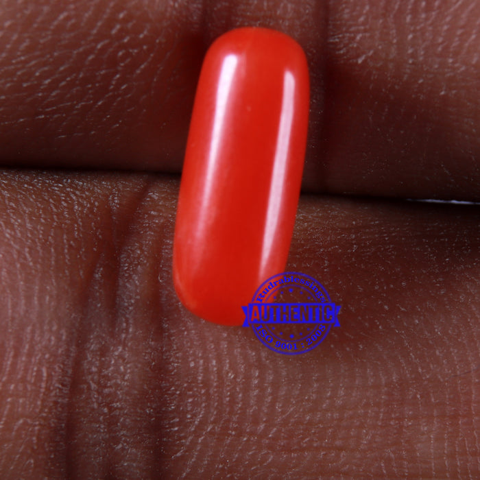 Coral / Moonga for planet Mars / Mangal - 100