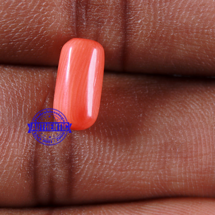 Coral / Moonga for planet Mars / Mangal - 101