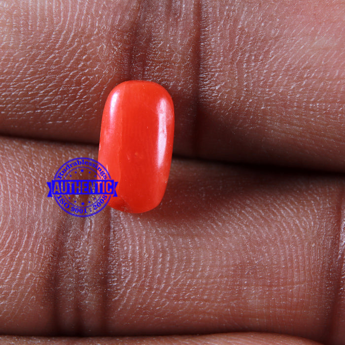 Coral / Moonga for planet Mars / Mangal - 102