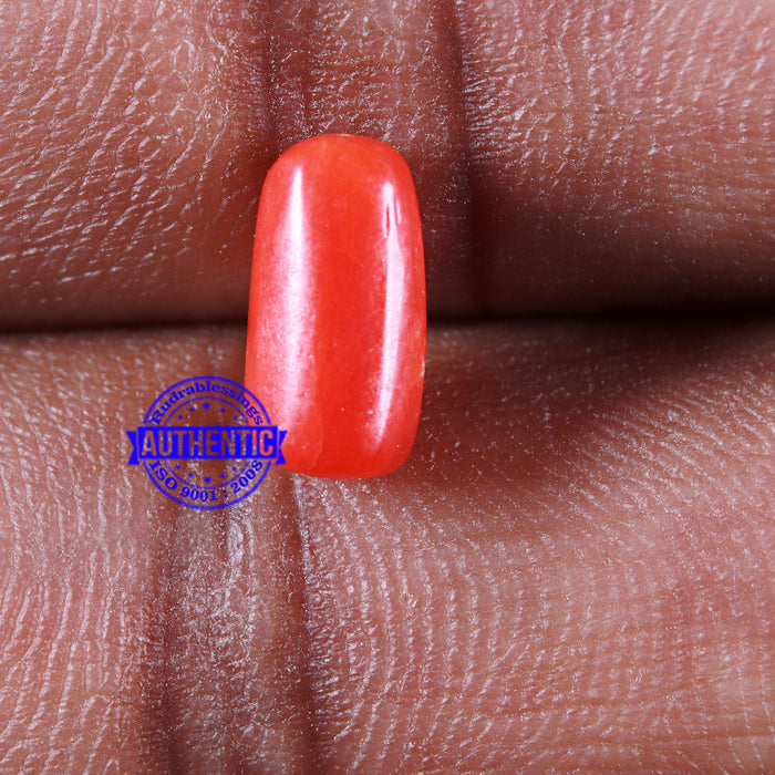 Coral / Moonga for planet Mars / Mangal - 103