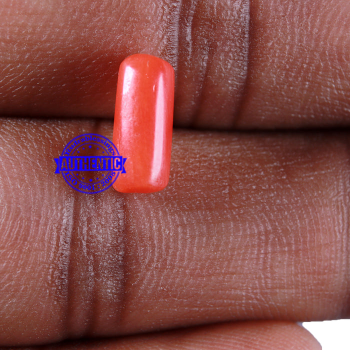 Coral / Moonga for planet Mars / Mangal - 104