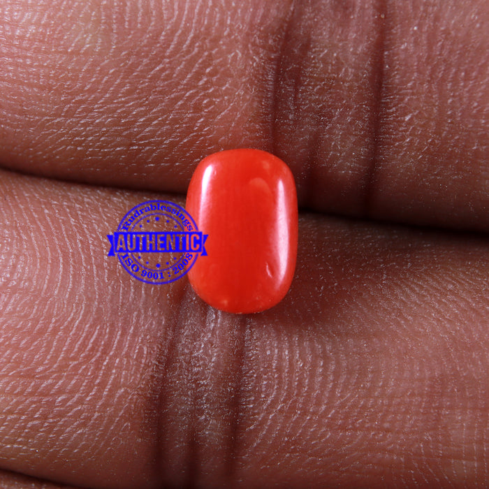 Coral / Moonga for planet Mars / Mangal - 105