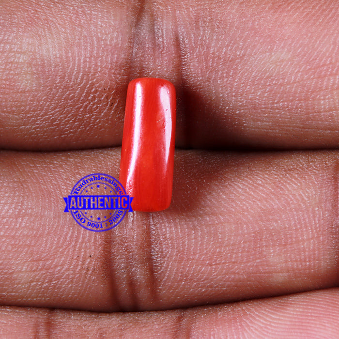 Coral / Moonga for planet Mars / Mangal - 106