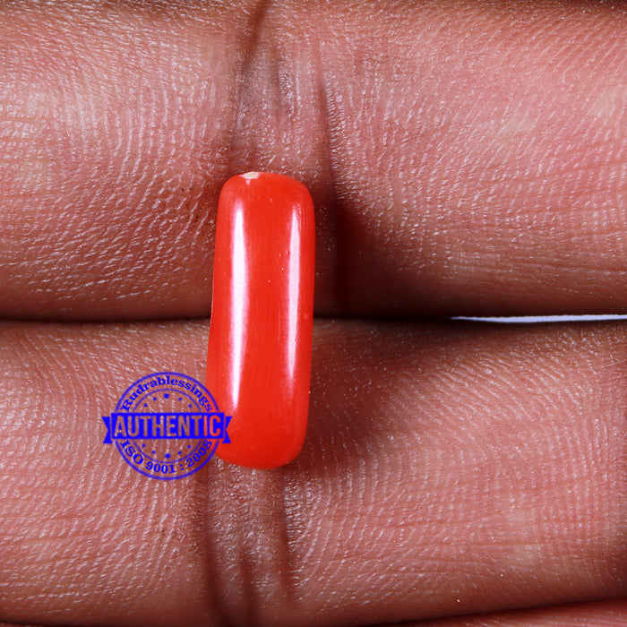 Coral / Moonga for planet Mars / Mangal - 107