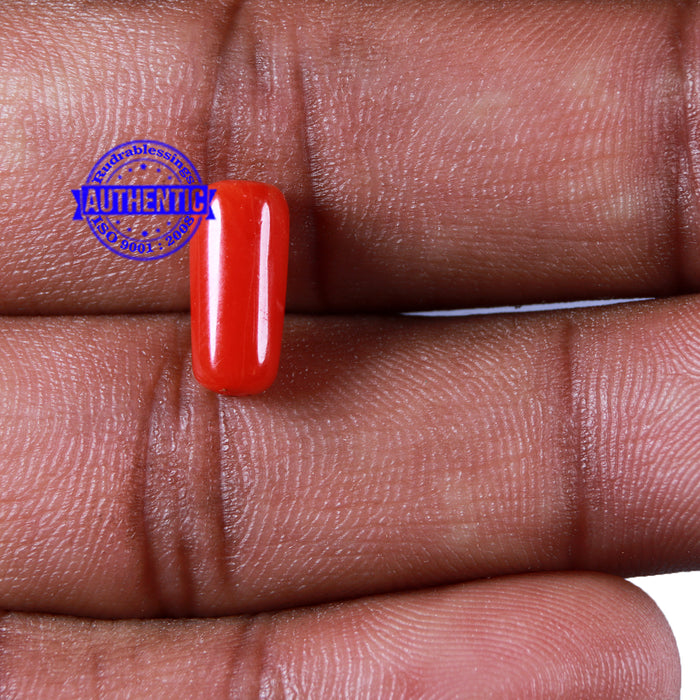 Coral / Moonga for planet Mars / Mangal - 109