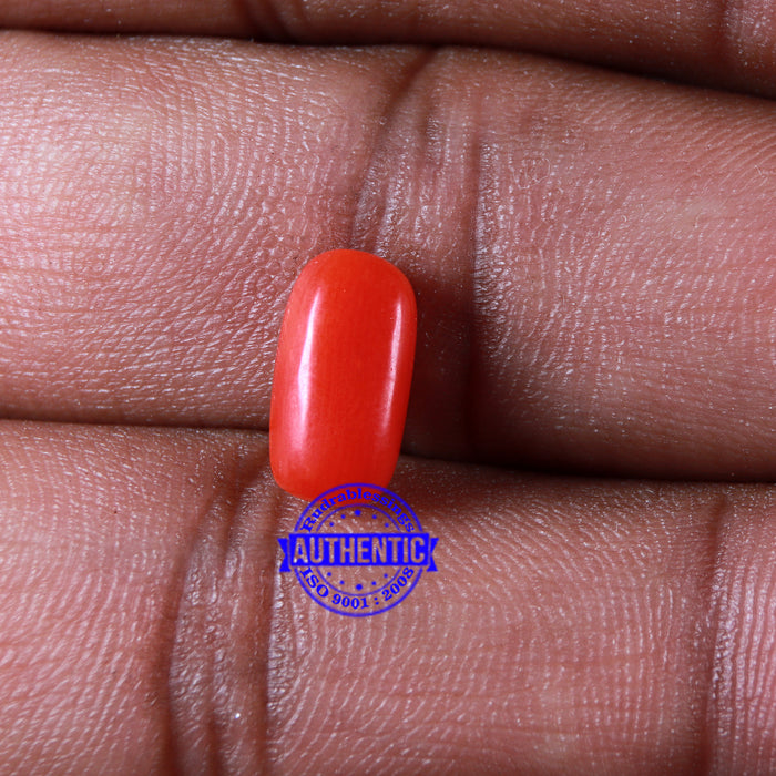 Coral / Moonga for planet Mars / Mangal - 111