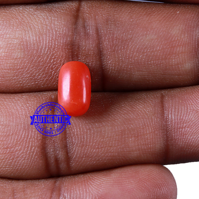 Coral / Moonga for planet Mars / Mangal - 113