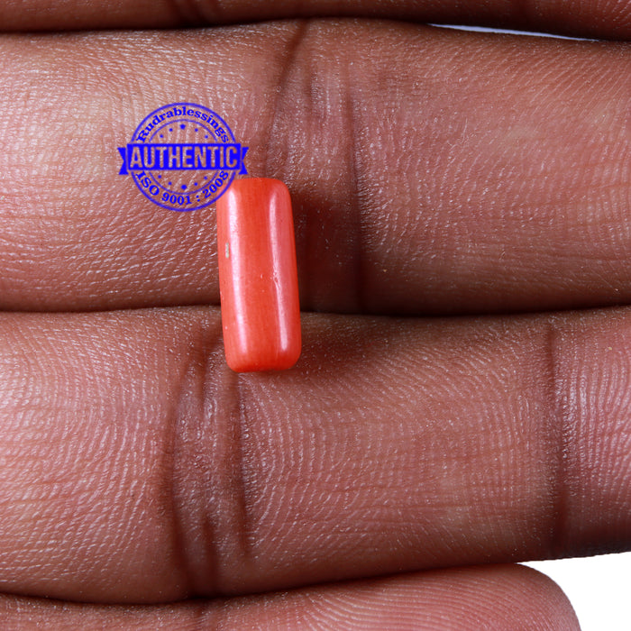 Coral / Moonga for planet Mars / Mangal - 114