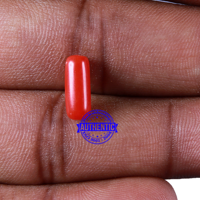 Coral / Moonga for planet Mars / Mangal - 115