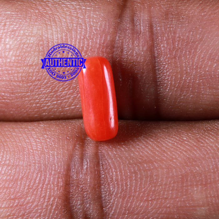 Coral / Moonga for planet Mars / Mangal - 116