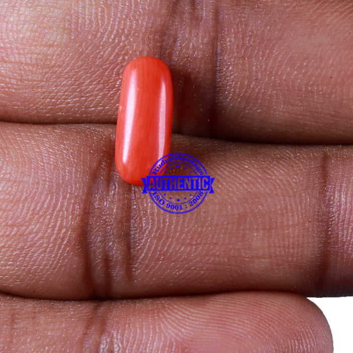 Coral / Moonga for planet Mars / Mangal - 117