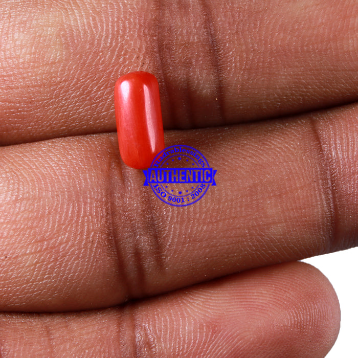 Coral / Moonga for planet Mars / Mangal - 118