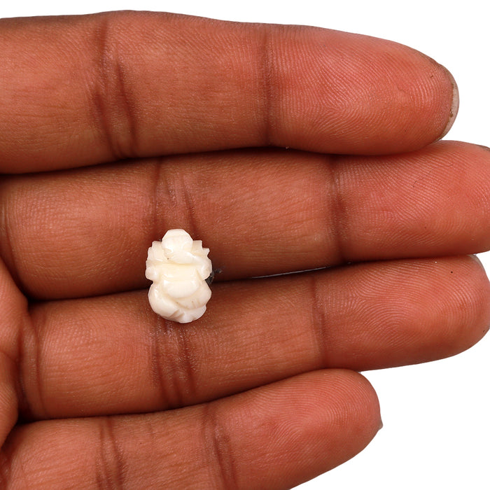 White Coral / Moonga Ganesha - 14