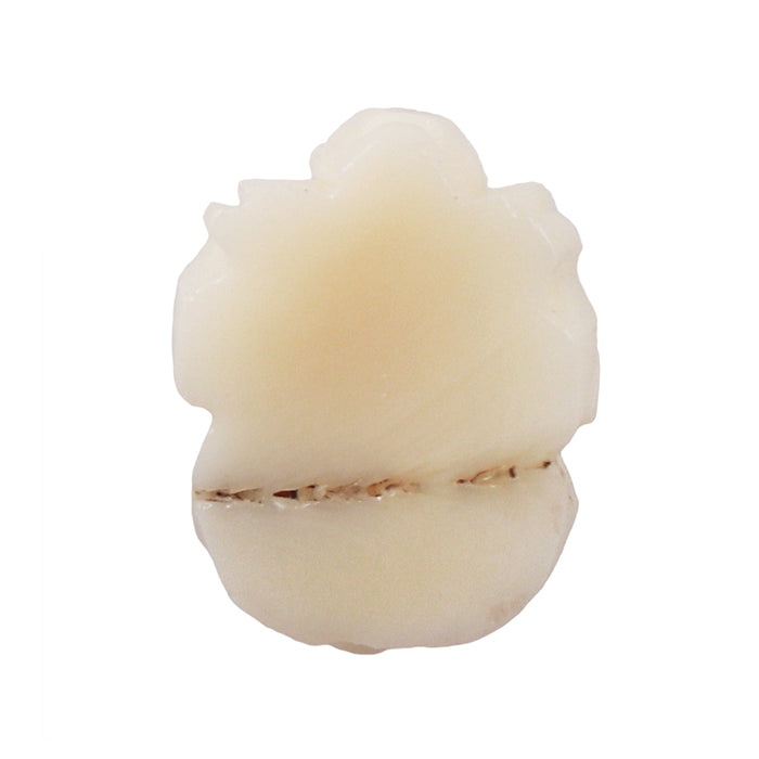 White Coral / Moonga Ganesha - 21