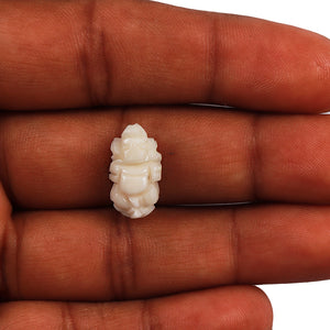 White Coral / Moonga Ganesha - 40