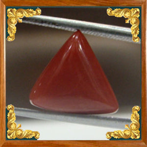 Coral / Moonga for planet Mars / Mangal - 4