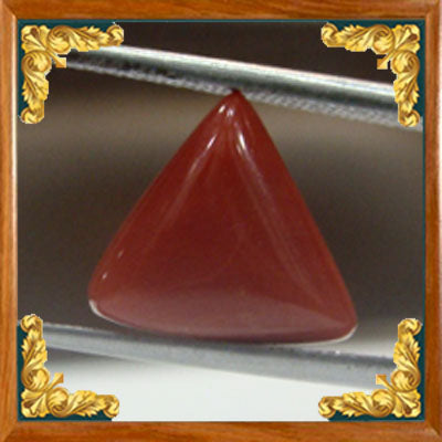 Coral / Moonga for planet Mars / Mangal - 4