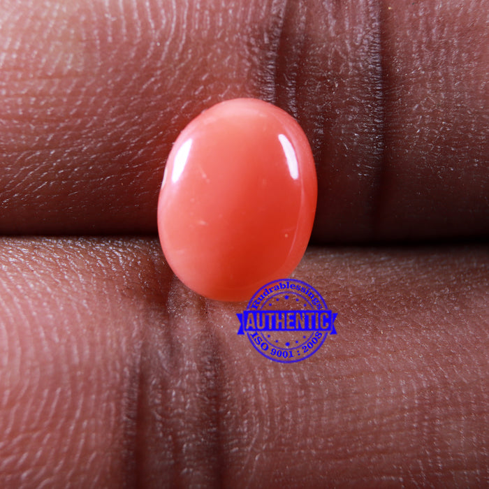 Coral / Moonga for planet Mars / Mangal - 58