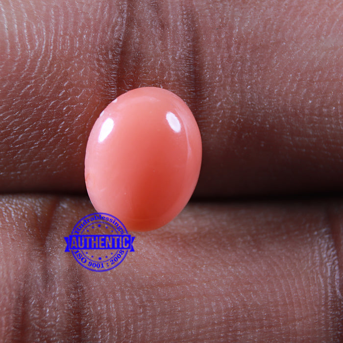 Coral / Moonga for planet Mars / Mangal - 59