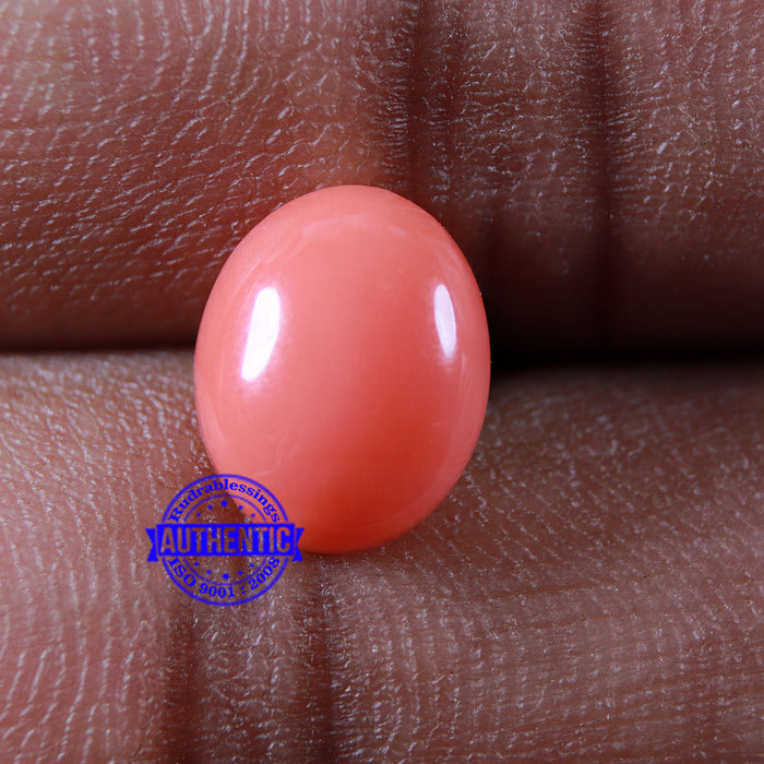 Coral / Moonga for planet Mars / Mangal - 60