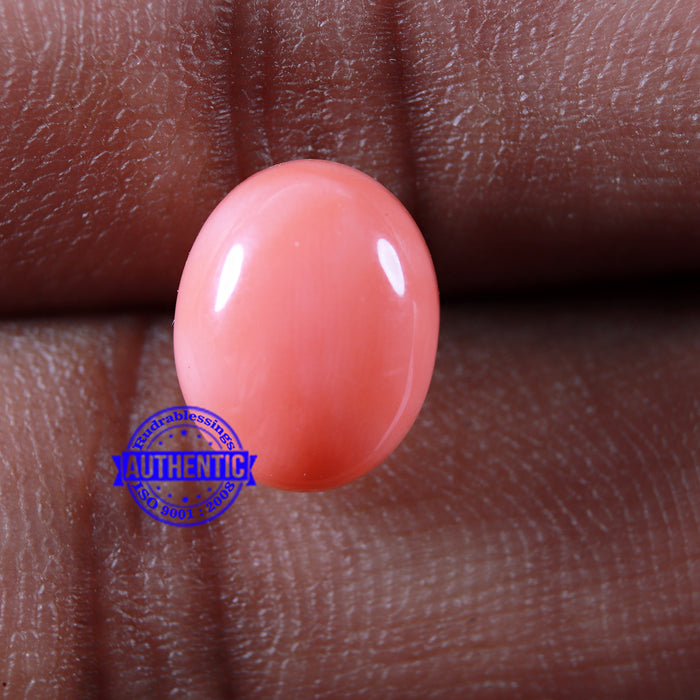 Coral / Moonga for planet Mars / Mangal - 61