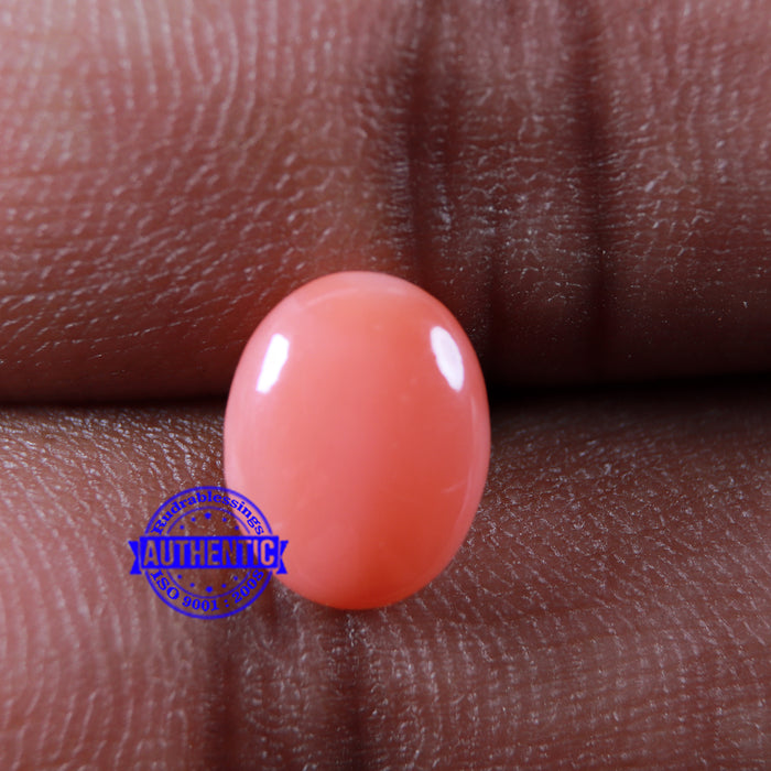 Coral / Moonga for planet Mars / Mangal - 64