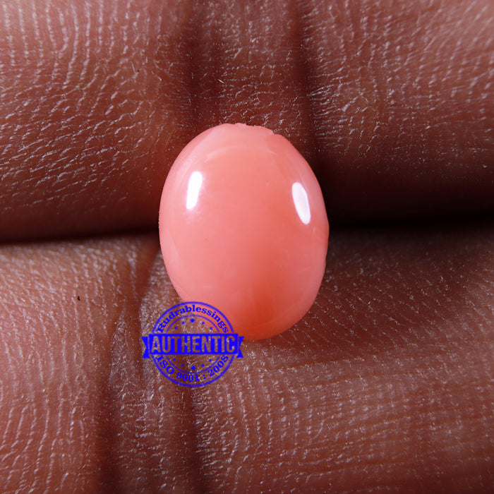 Coral / Moonga for planet Mars / Mangal - 65