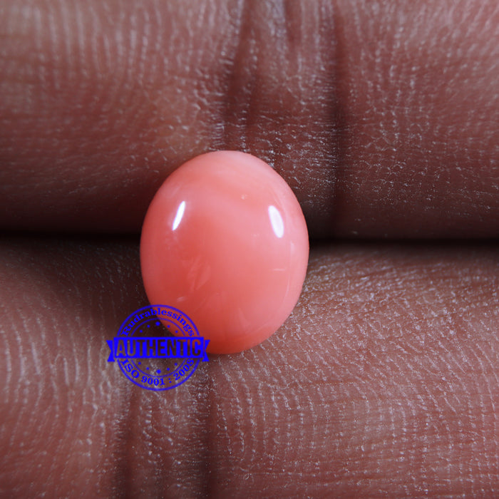 Coral / Moonga for planet Mars / Mangal - 67