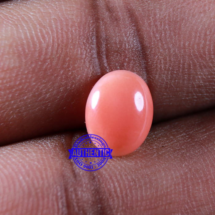 Coral / Moonga for planet Mars / Mangal - 68